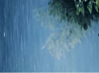 德商产投服务:吹响备汛集结号!未雨绸缪,筑牢汛期安全防线
