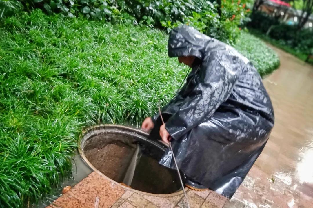 20洁华