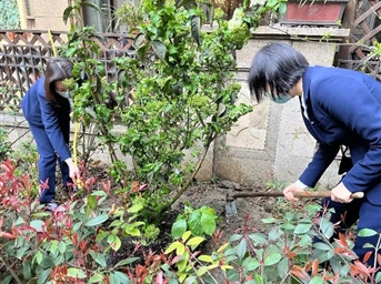 节日佳话 | 拥抱春天，共植美好