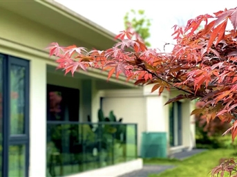 融礼序于自然，予服务以美学 | 融创案场服务塑造持续生长的美好生活场景