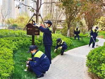 荣万家·川渝 | 春风行动，至臻向暖，向绿而行！