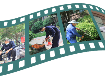 “温暖+”，幸福家｜七大关键词，见证满意度的“成长”