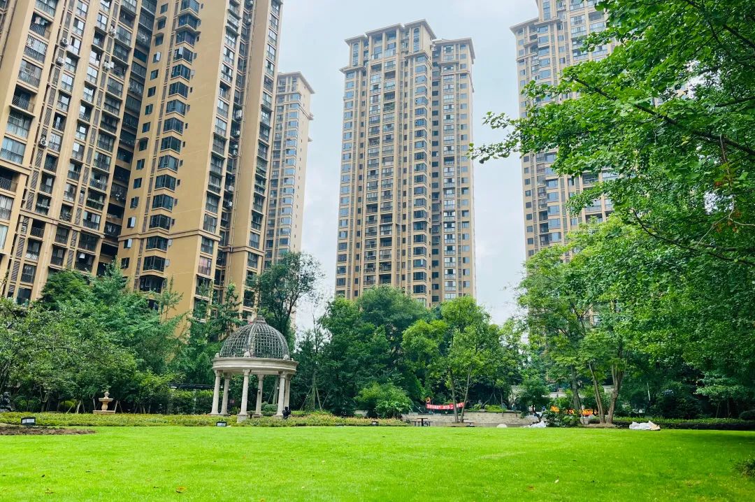 20240119_142608_004 20240119_142608_004