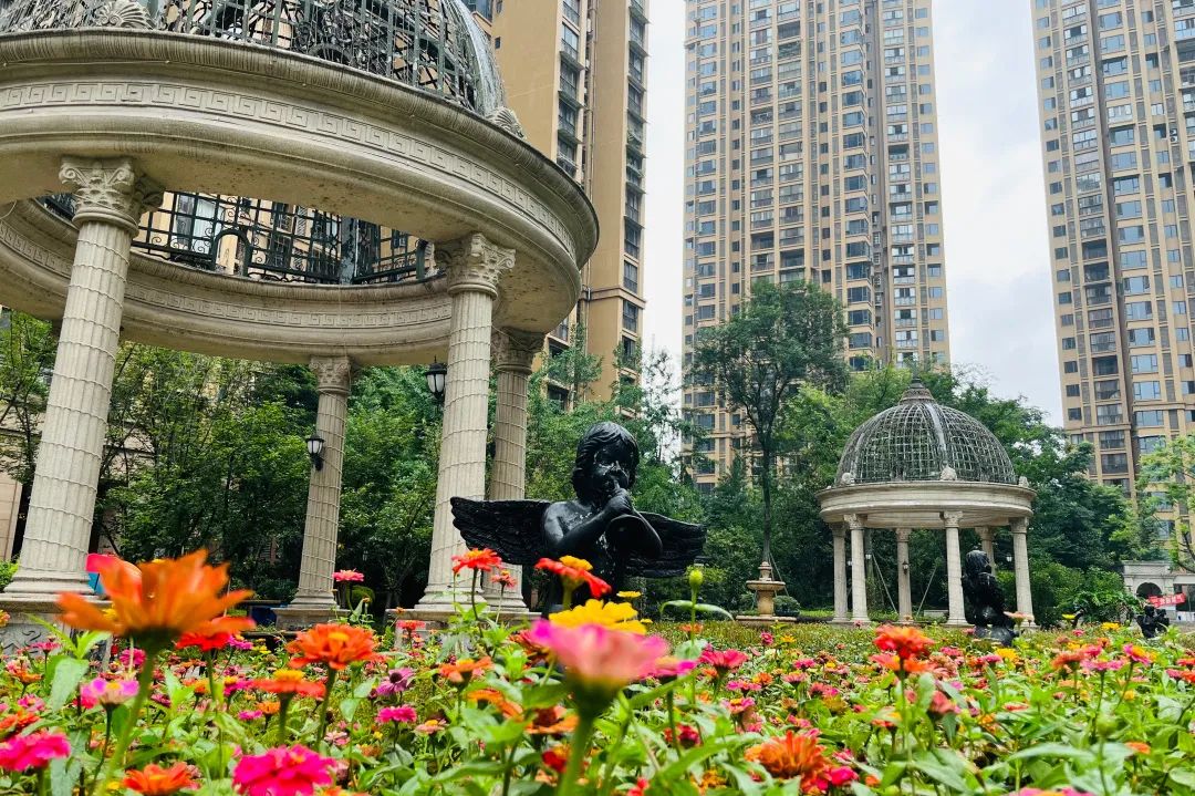 20240119_142608_005 20240119_142608_005