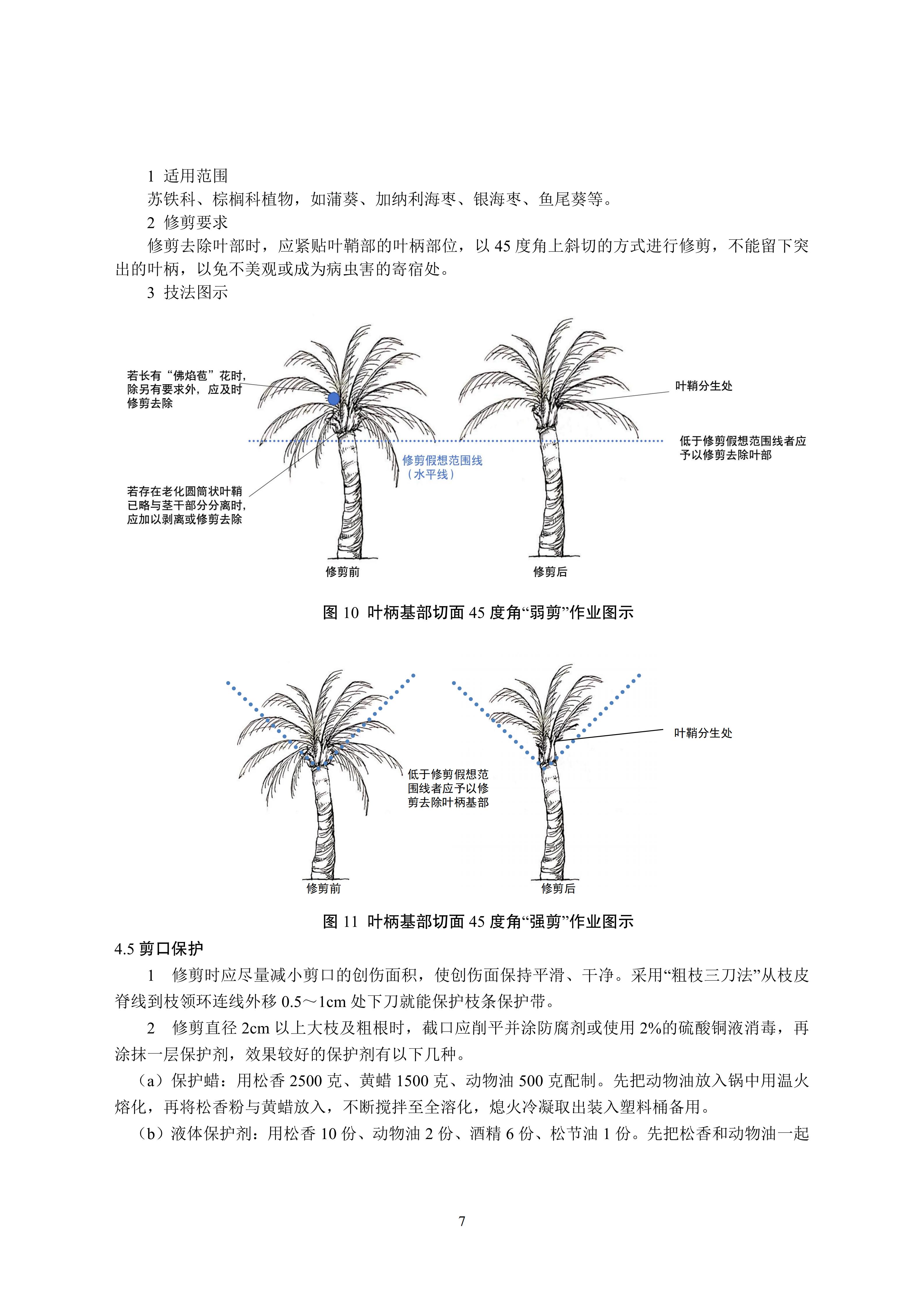关于印发《成都市绿化乔木修枝技术导则（试行）》的通知（全）_10