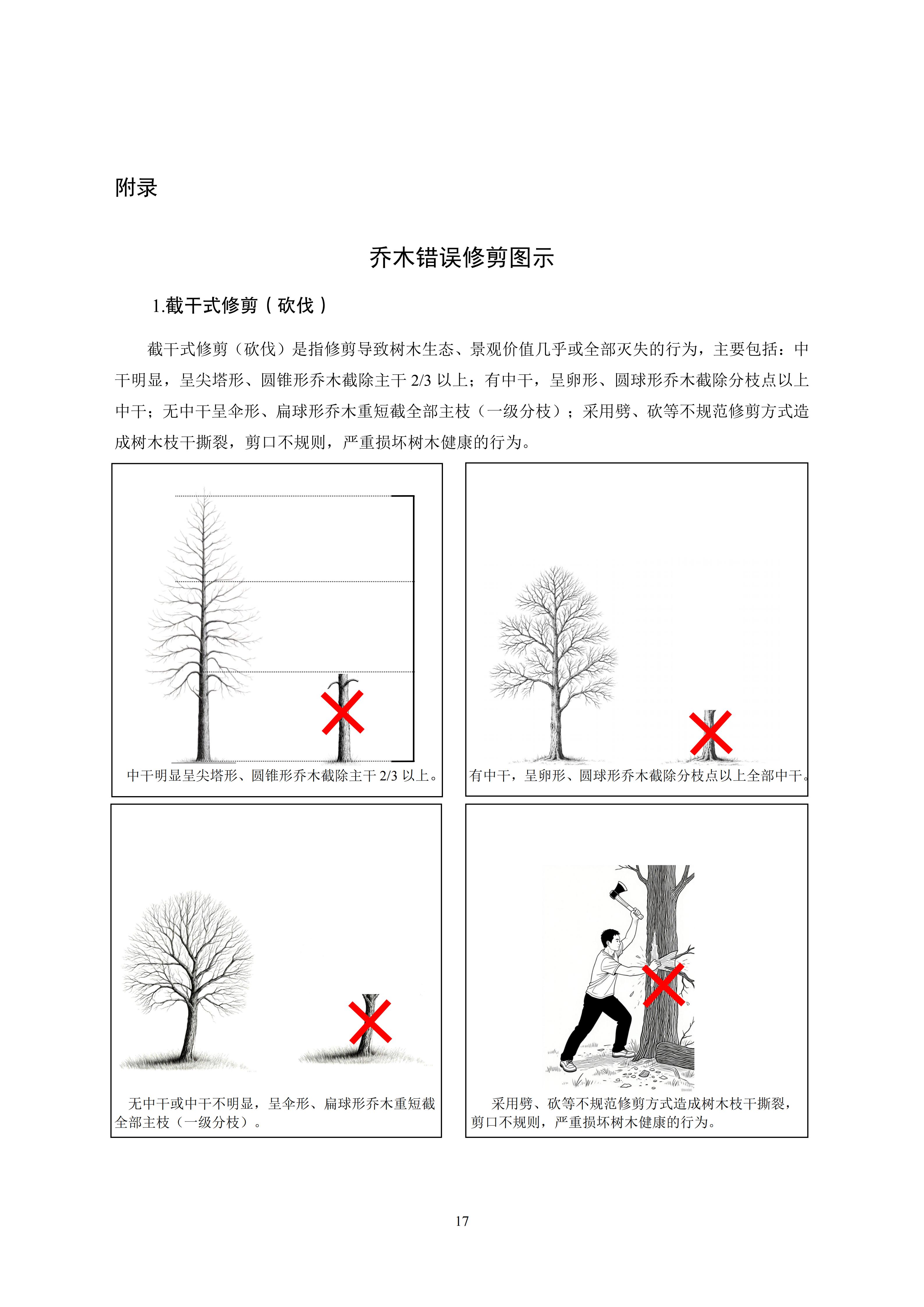 关于印发《成都市绿化乔木修枝技术导则（试行）》的通知（全）_20