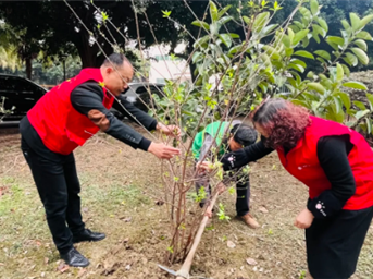 春启新程 绿满家园